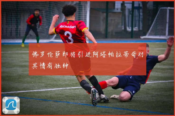 佛罗伦萨即将引进阿塔帕拉蒂奇对其情有独钟