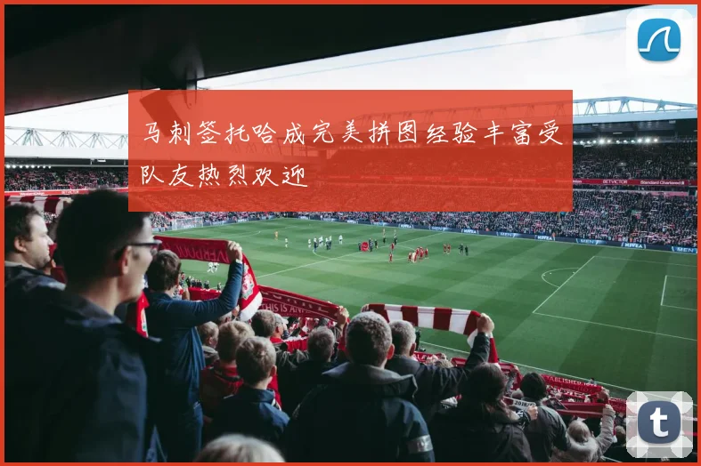 马刺签托哈成完美拼图经验丰富受队友热烈欢迎